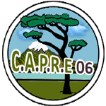 logo©CAPRE06-150